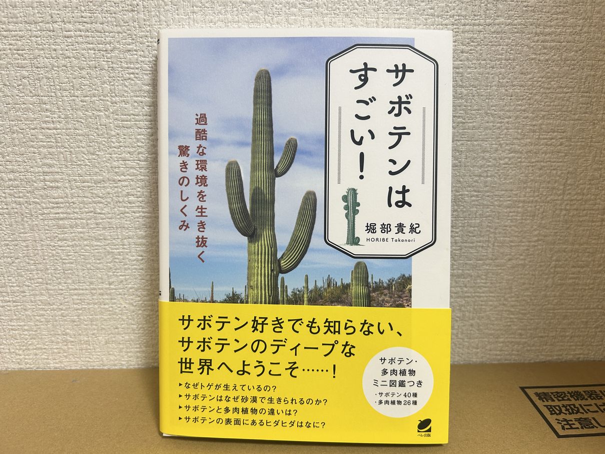サボテンはすごい！