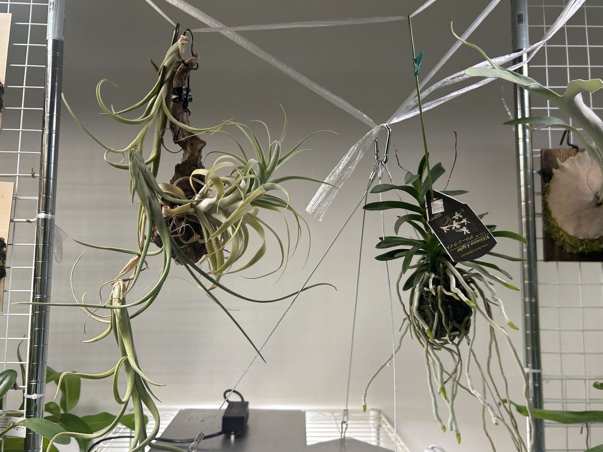 ビザプラ植物園の栽培環境