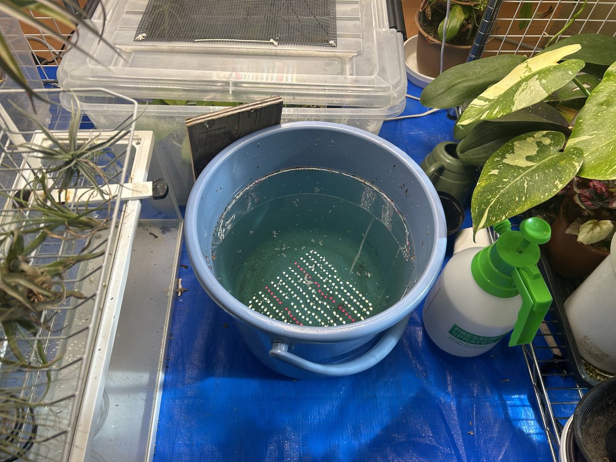 ビザプラ植物園の栽培環境