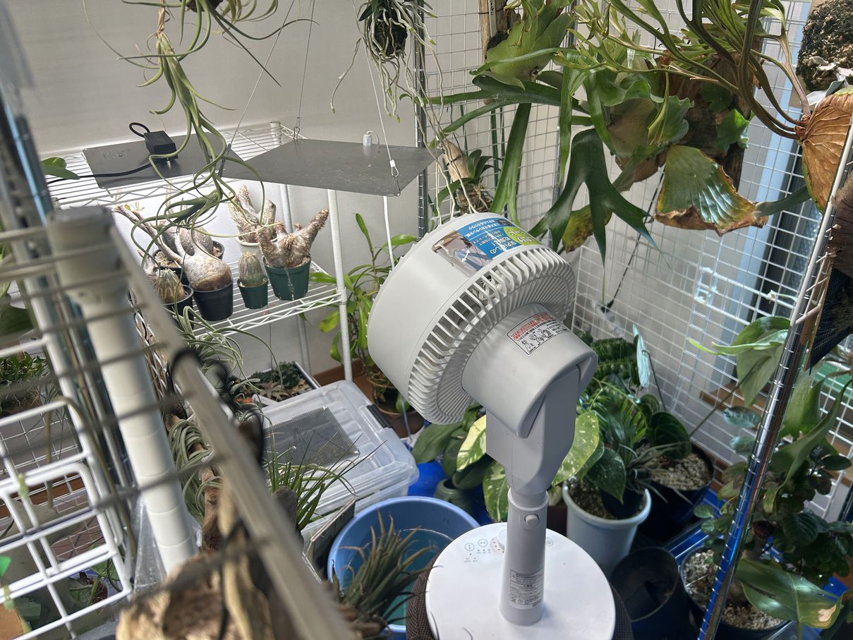 ビザプラ植物園の栽培環境