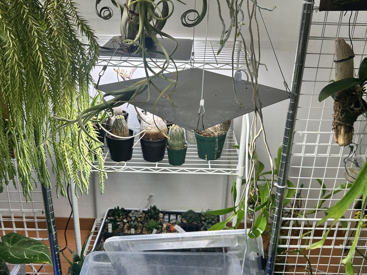 ビザプラ植物園の栽培環境