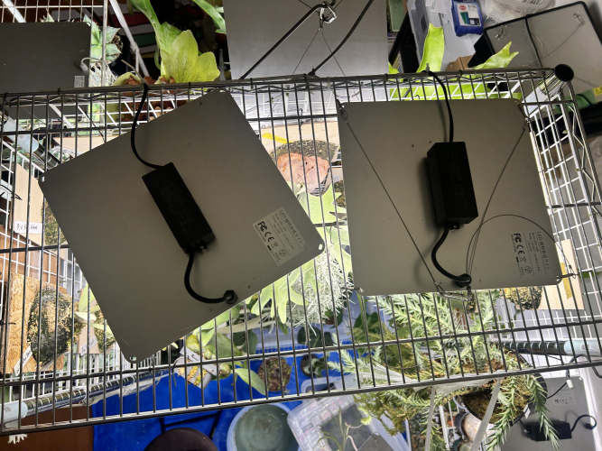 ビザプラ植物園の栽培環境